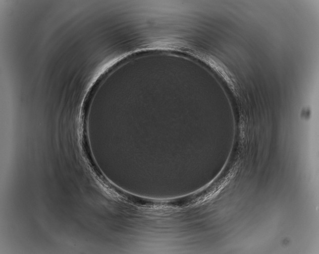 X0000101141077200806270914