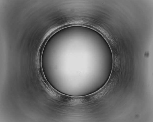 X0000101141078200806270914