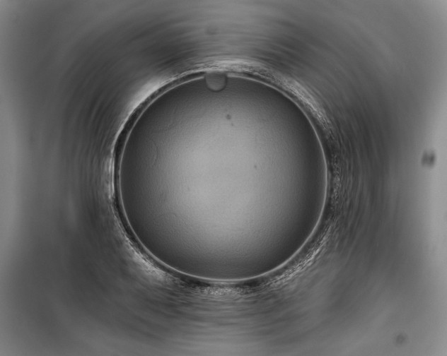 X0000101141079200806270914