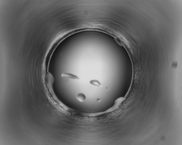 X0000101141080200806270914