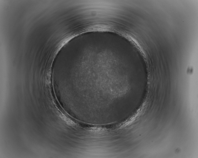 X0000101141081200806270914