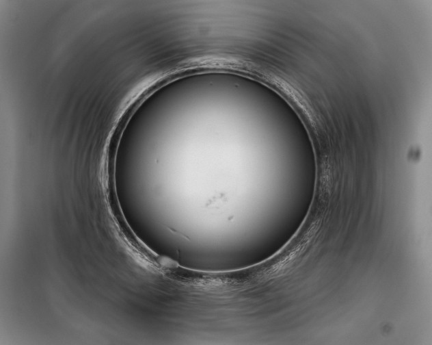 X0000101141082200806270914