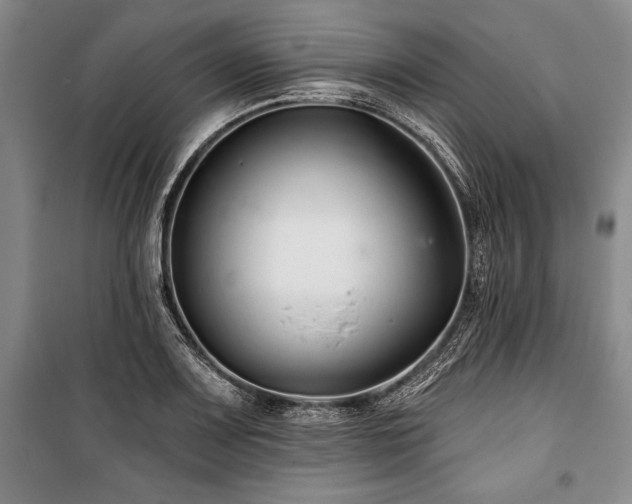 X0000101141083200806270914