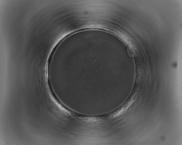 X0000101141084200806270914