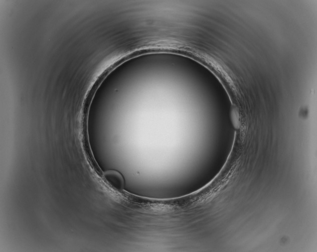 X0000101141085200806270914