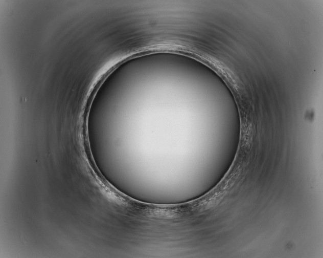 X0000101141086200806270914