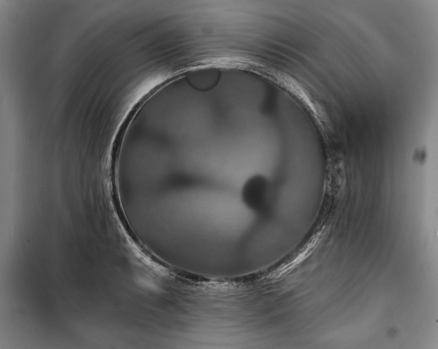 X0000101141087200806270914