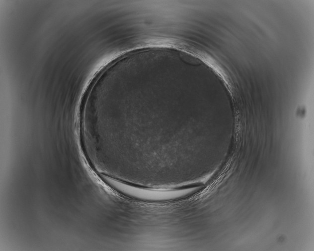 X0000101141088200806270914