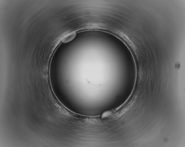 X0000101141089200806270914