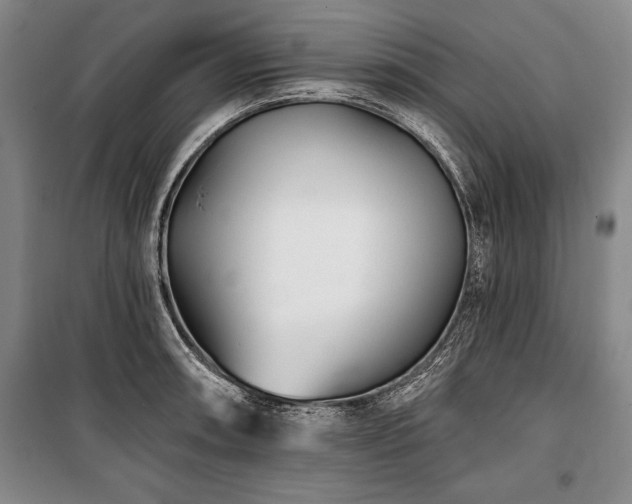 X0000101141090200806270914