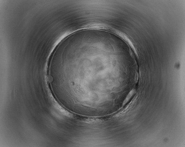 X0000101141091200806270914