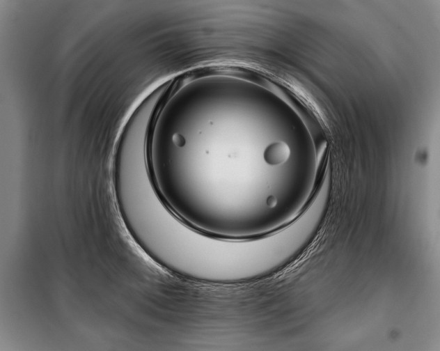 X0000101141092200806270914