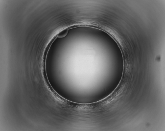 X0000101141093200806270914