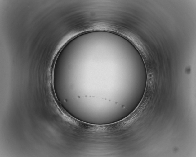 X0000101141094200806270914