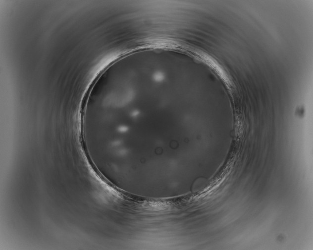 X0000101141095200806270914