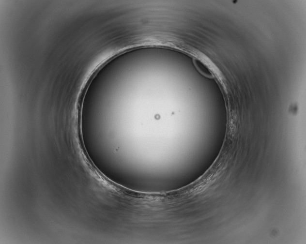 X0000101141096200806270914