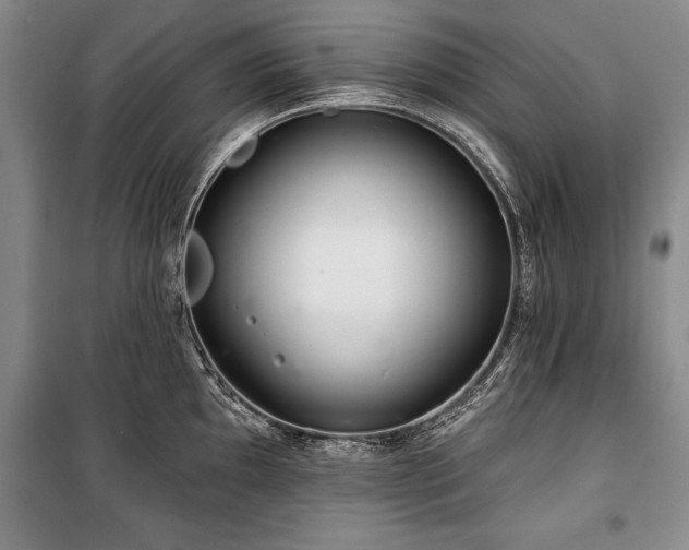 X0000101141097200806270914