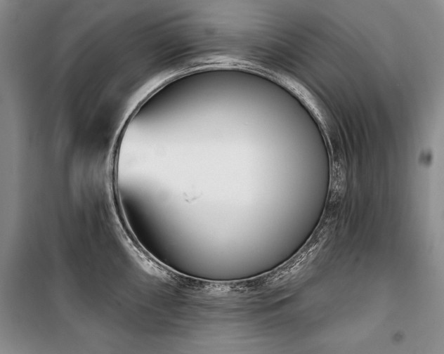 X0000101141098200806270914