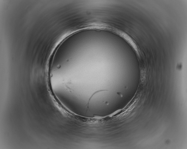 X0000101141099200806270914