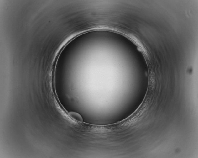 X0000101141100200806270914