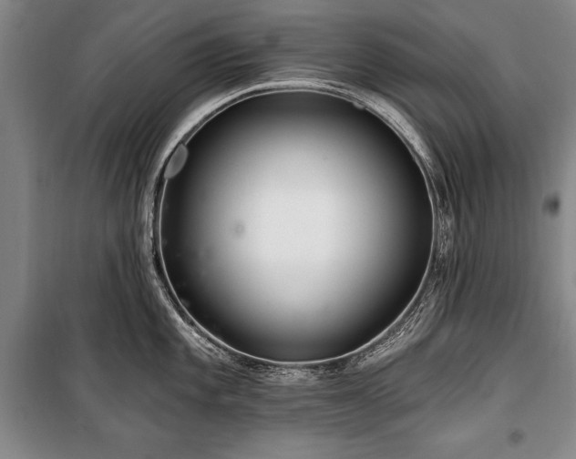 X0000101141101200806270914