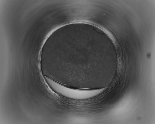 X0000101141102200806270914