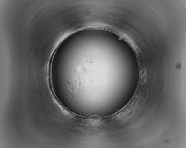 X0000101141103200806270914