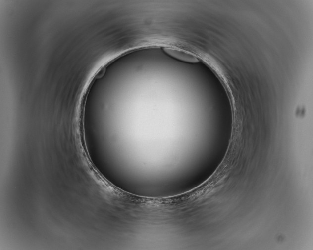 X0000101141104200806270914