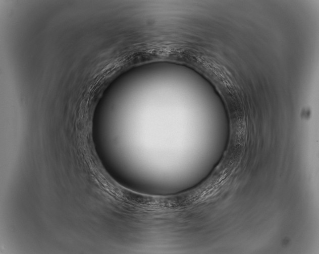 X0000101141105200806270913