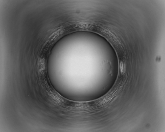 X0000101141107200806270913