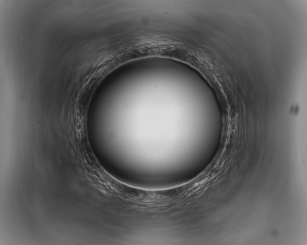 X0000101141109200806270913