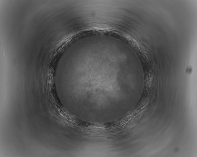 X0000101141110200806270913