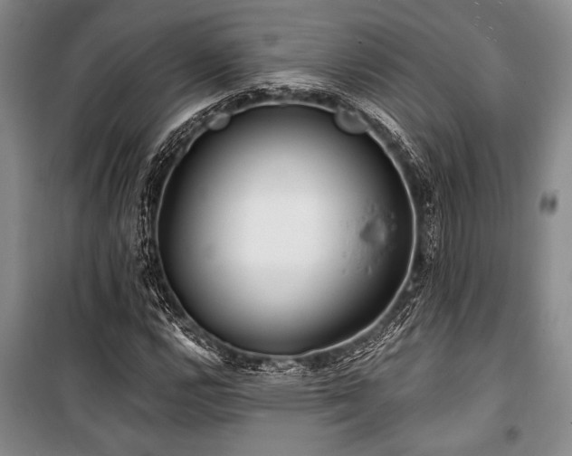 X0000101141112200806270913