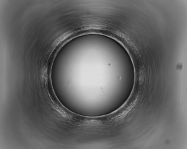 X0000101141113200806270913