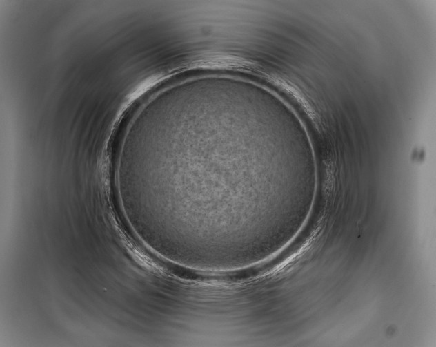 X0000101141114200806270913