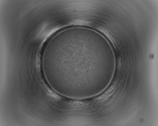 X0000101141115200806270913