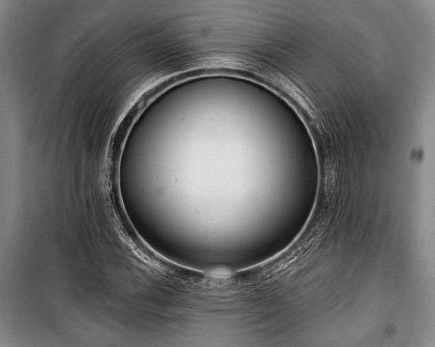 X0000101141116200806270913