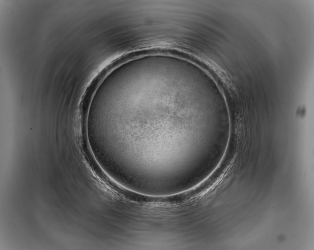 X0000101141118200806270913