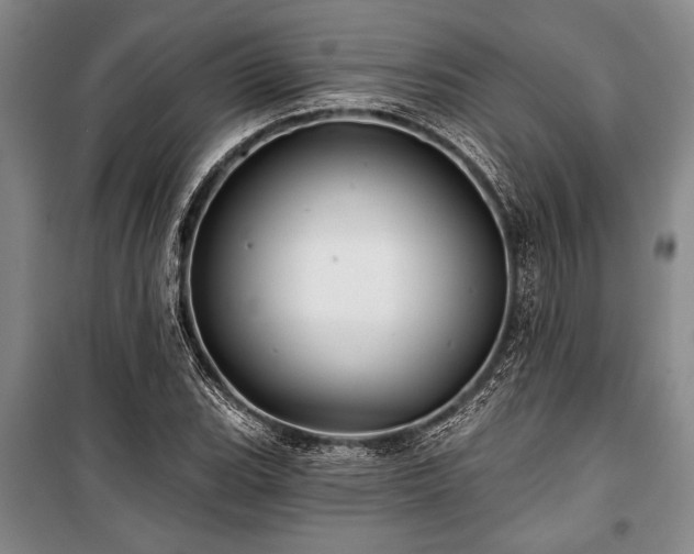 X0000101141119200806270913