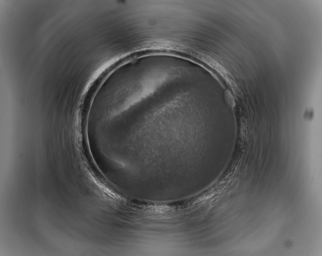 X0000101141120200806270913