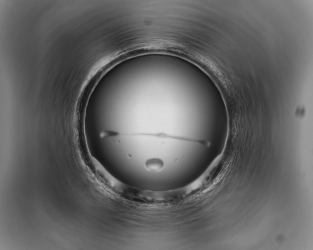 X0000101141122200806270913