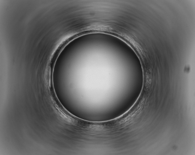 X0000101141123200806270913