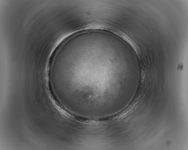 X0000101141124200806270913