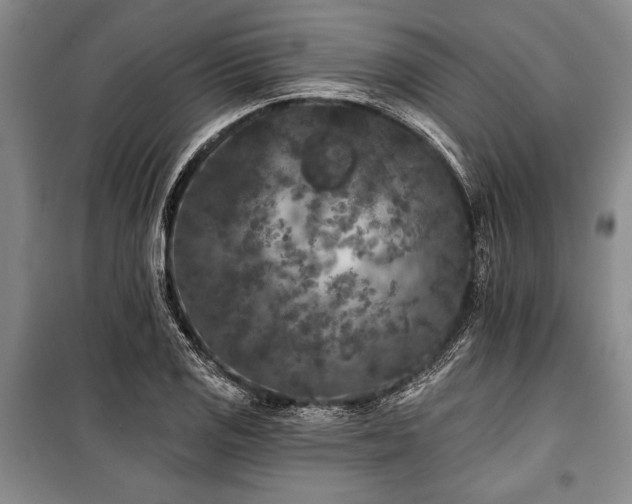 X0000101141125200806270913