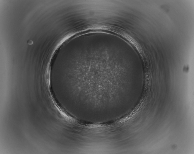 X0000101141127200806270913