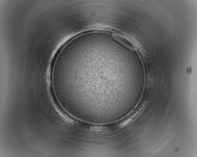 X0000101141128200806270913