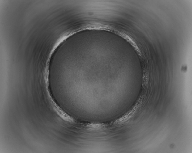 X0000101141130200806270913