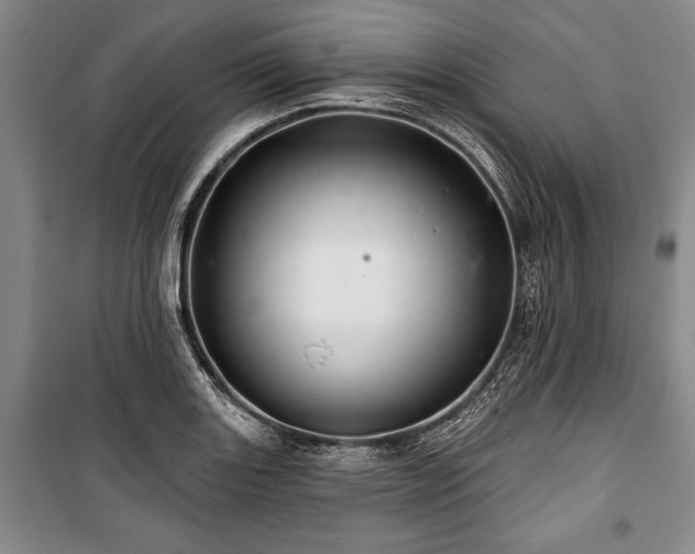 X0000101141131200806270913