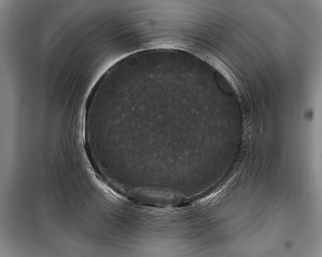 X0000101141132200806270913