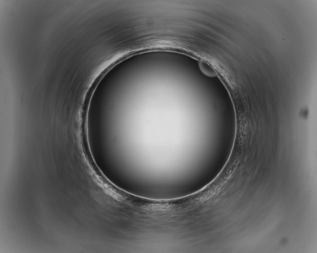 X0000101141134200806270913